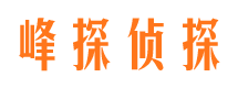 漳县市侦探公司